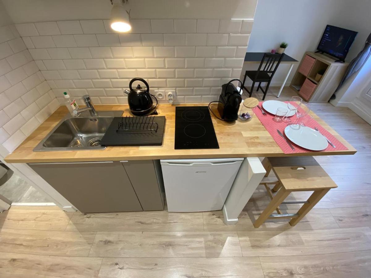 Place De Metz, Hyper-Centre Grenoble, Studio 25 M2 Екстериор снимка