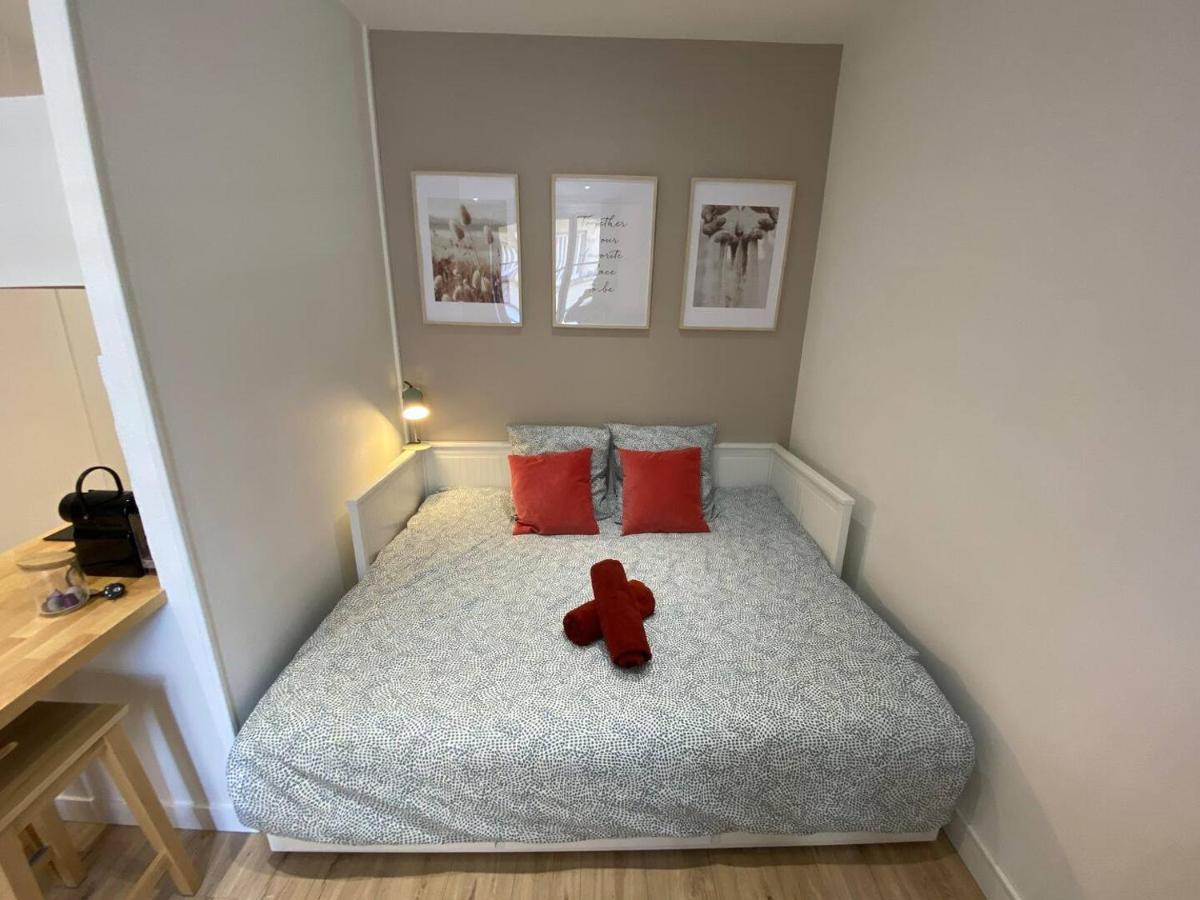 Place De Metz, Hyper-Centre Grenoble, Studio 25 M2 Екстериор снимка
