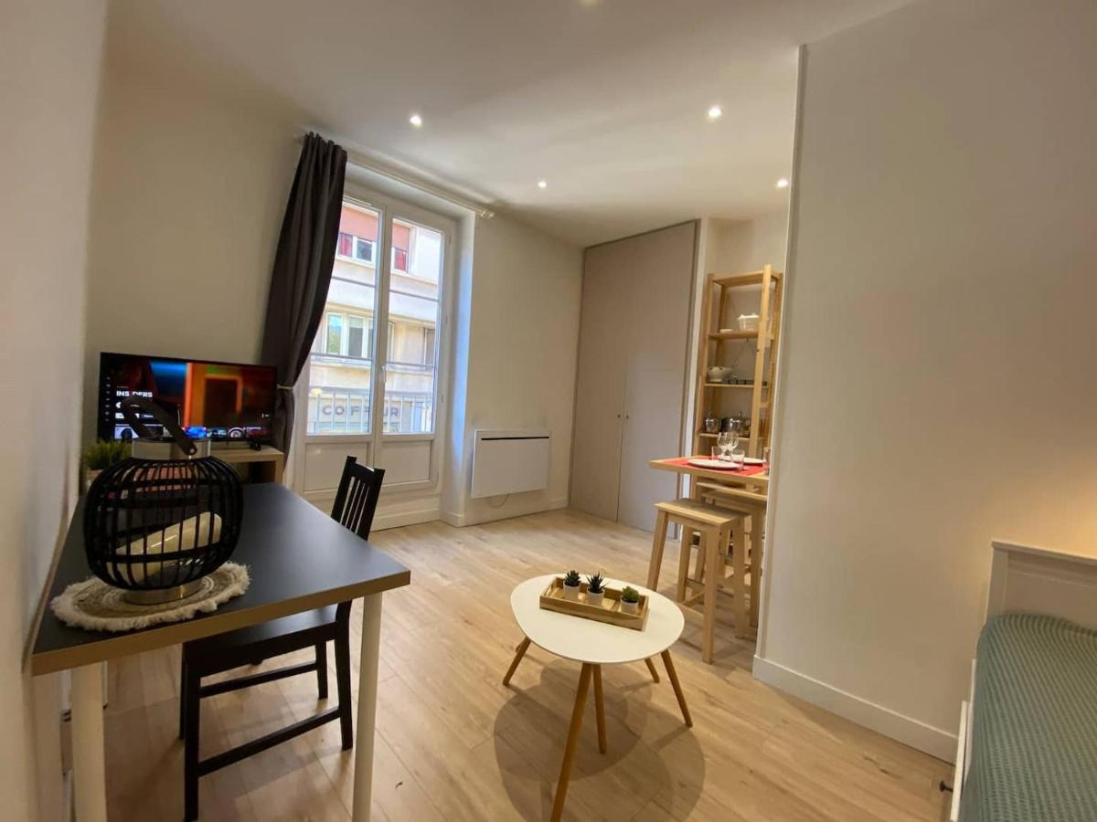 Place De Metz, Hyper-Centre Grenoble, Studio 25 M2 Екстериор снимка